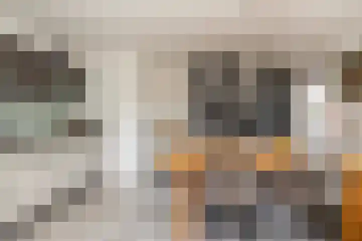 de Geise 6 Delfzijl thumbnail 5