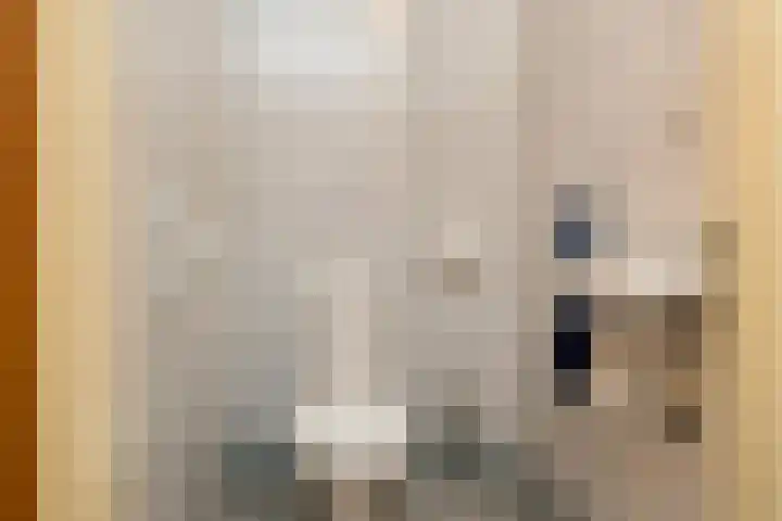 de Geise 6 Delfzijl thumbnail 9