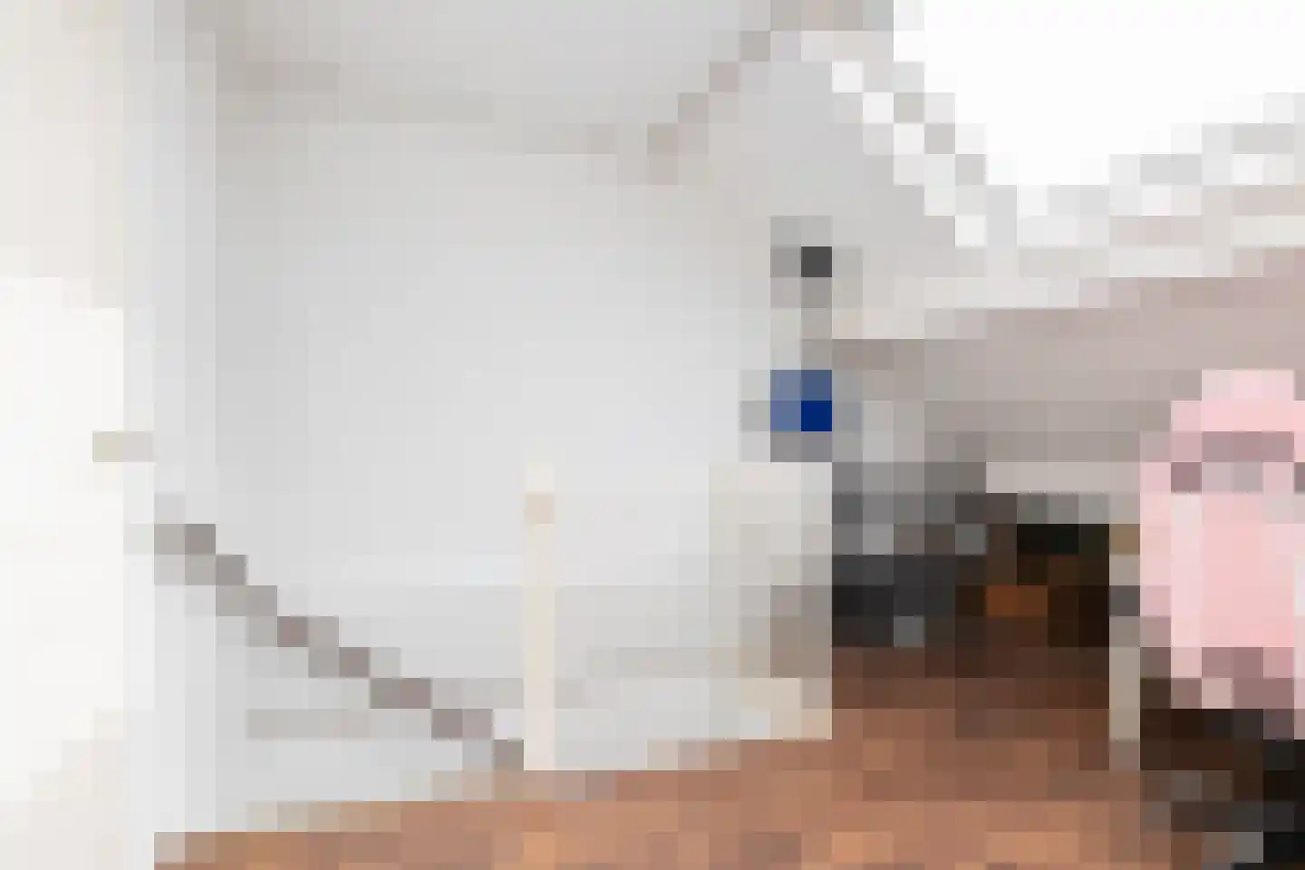 de Gelder 10 Hattem thumbnail 25