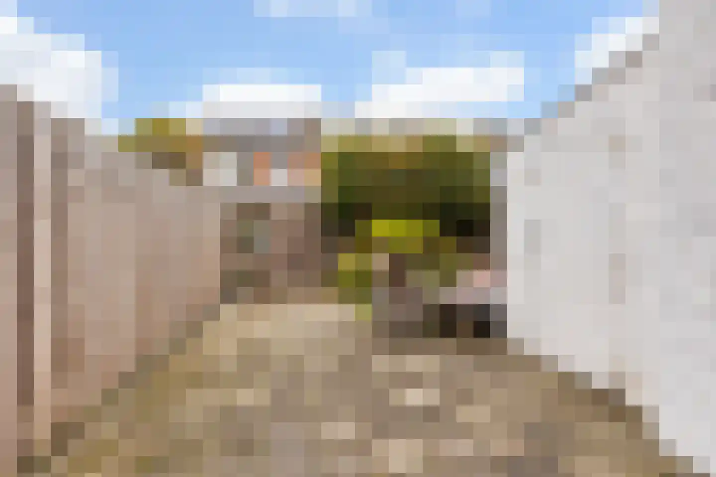 de Gelder 10 Hattem thumbnail 29