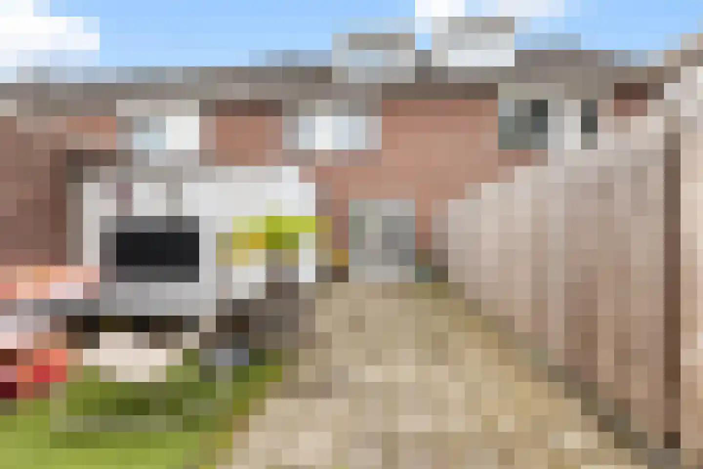 de Gelder 10 Hattem thumbnail 31