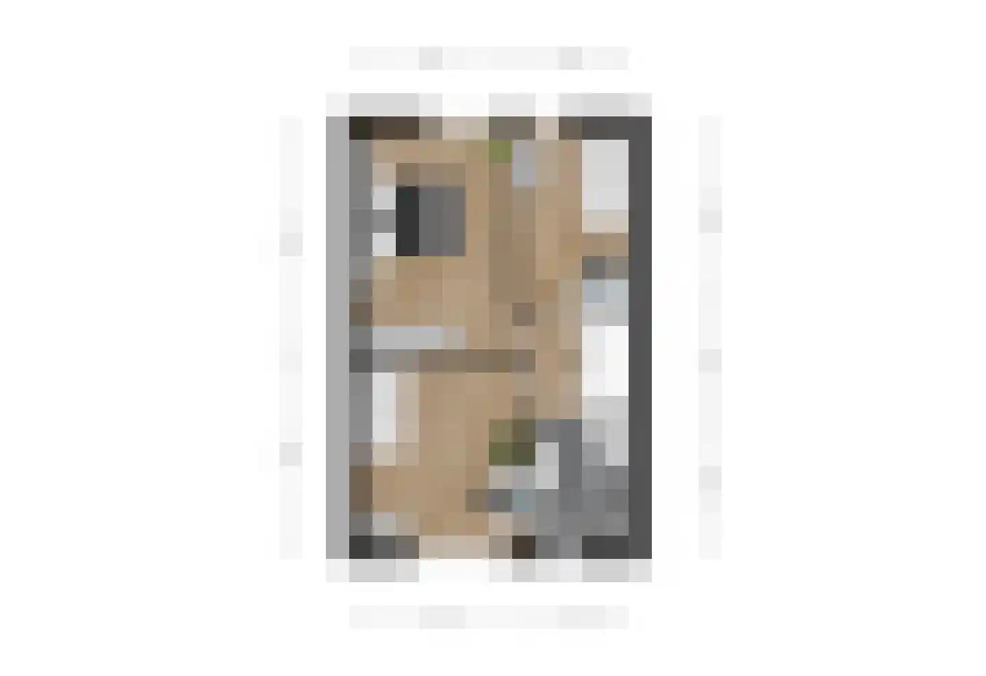 de Gelder 10 Hattem thumbnail 36