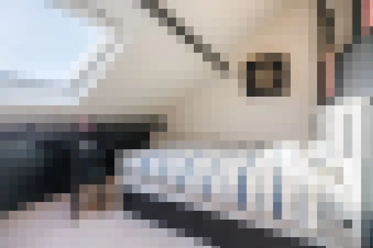 de Gelder 7 Hattem thumbnail 29