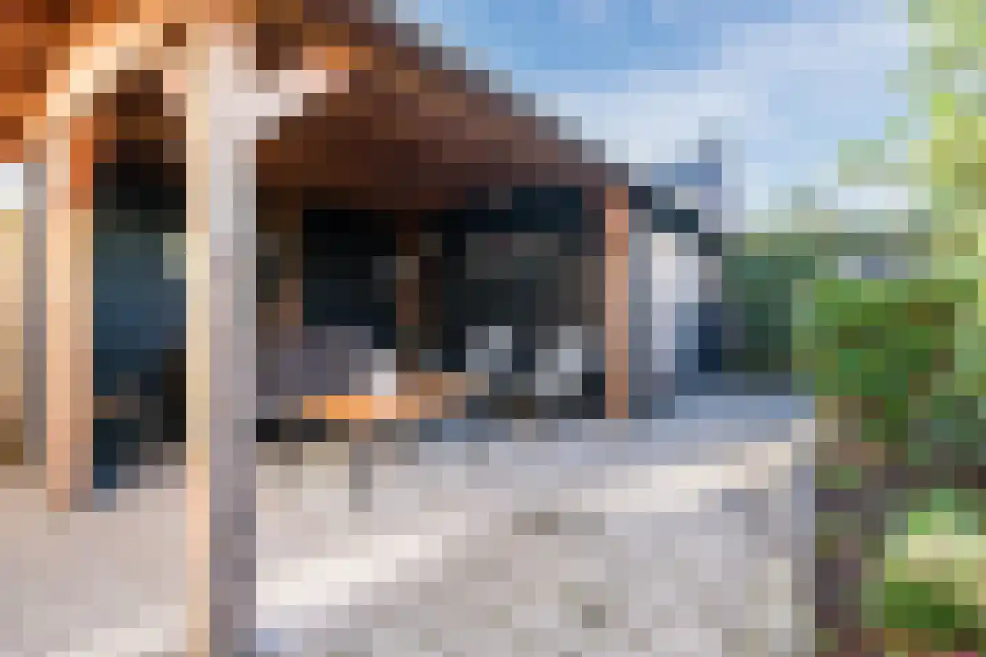 de Gelder 7 Hattem thumbnail 34