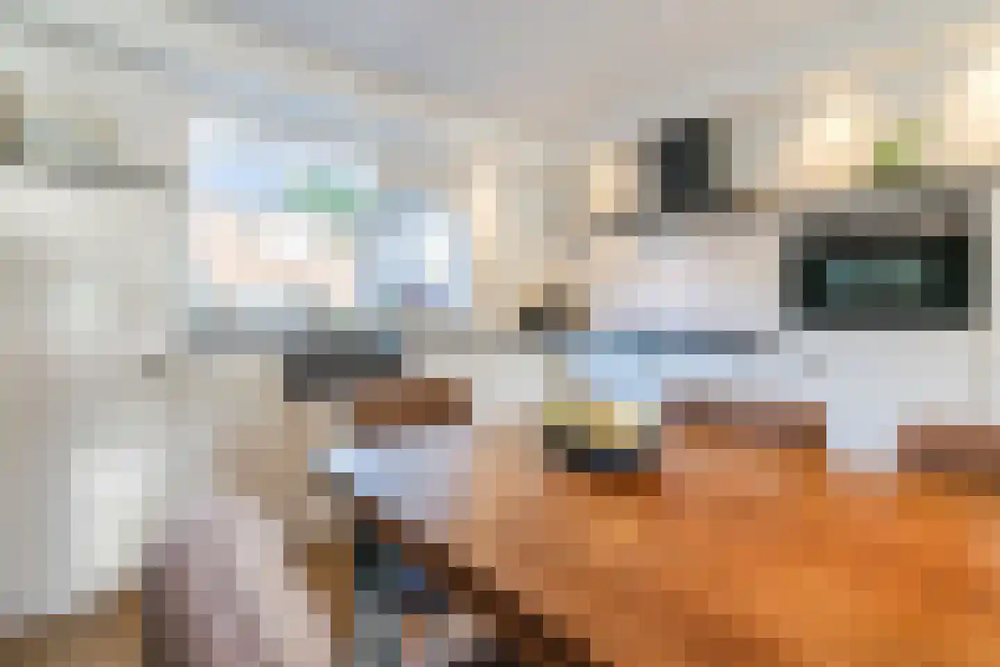 de Gelder 7 Hattem thumbnail 9