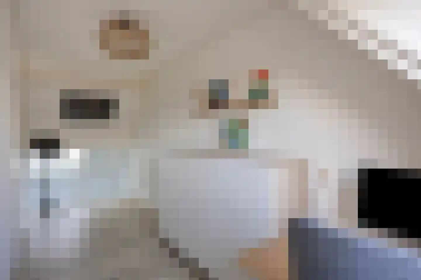 De Geldersche Waag 13 Veenendaal thumbnail 16