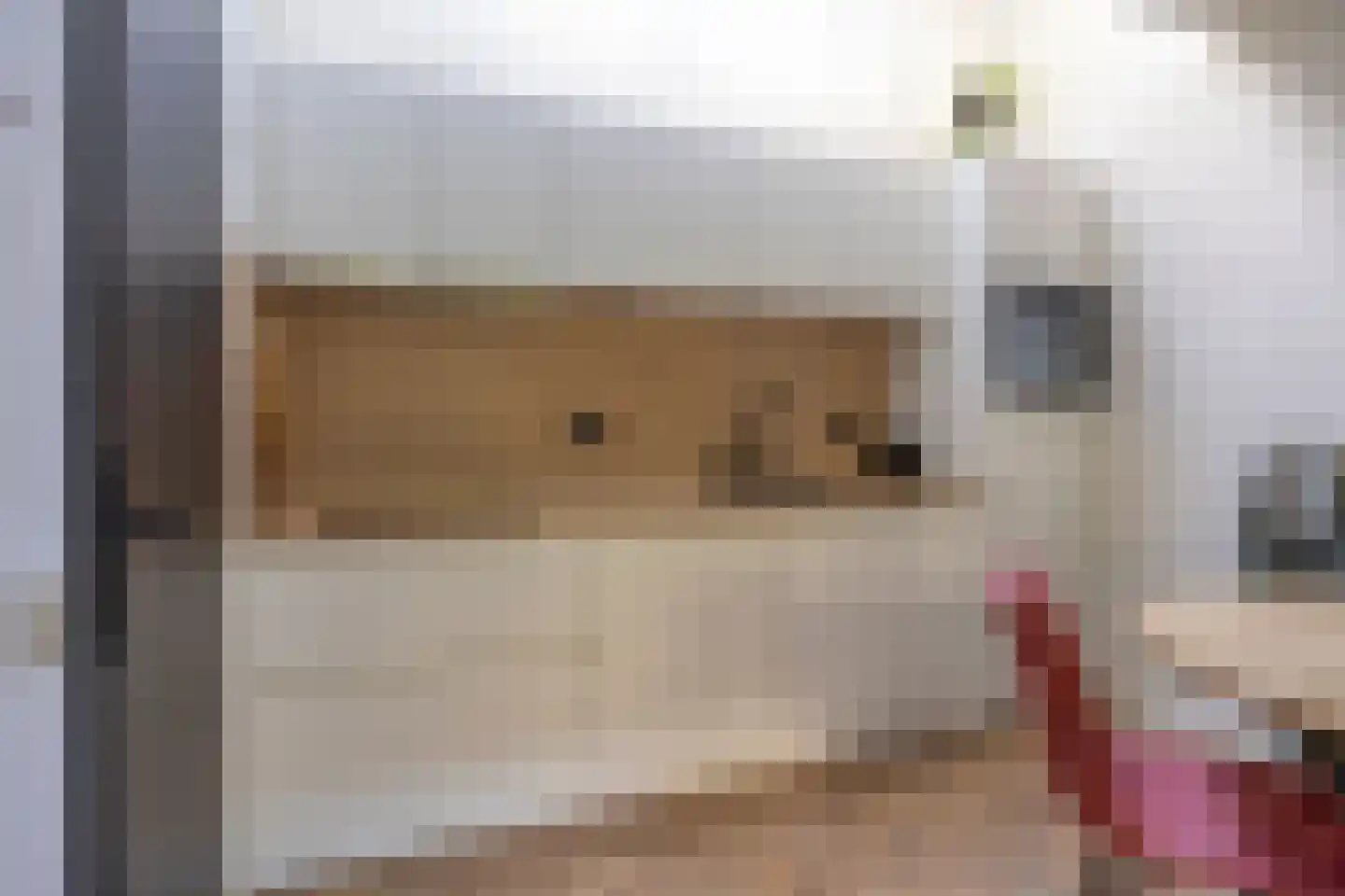 De Geldersche Waag 13 Veenendaal thumbnail 8