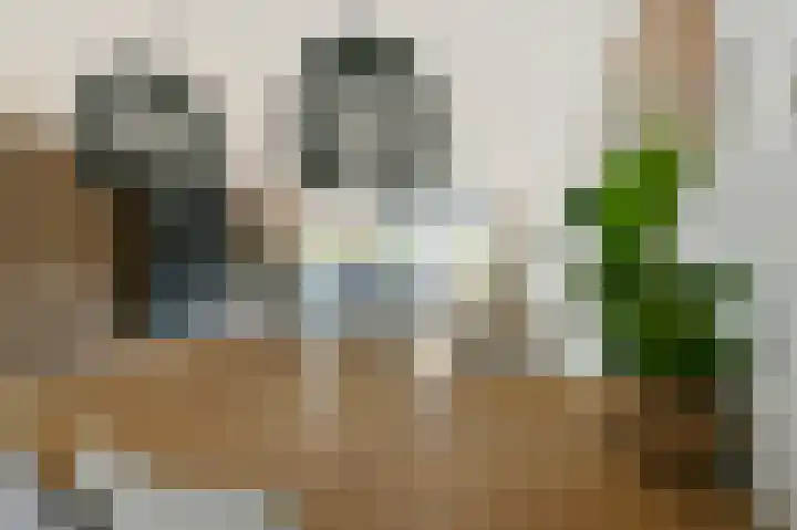 De Geldersman 10 Huizen thumbnail 10