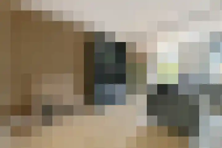 De Geldersman 10 Huizen thumbnail 11