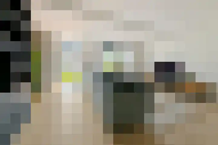 De Geldersman 10 Huizen thumbnail 12