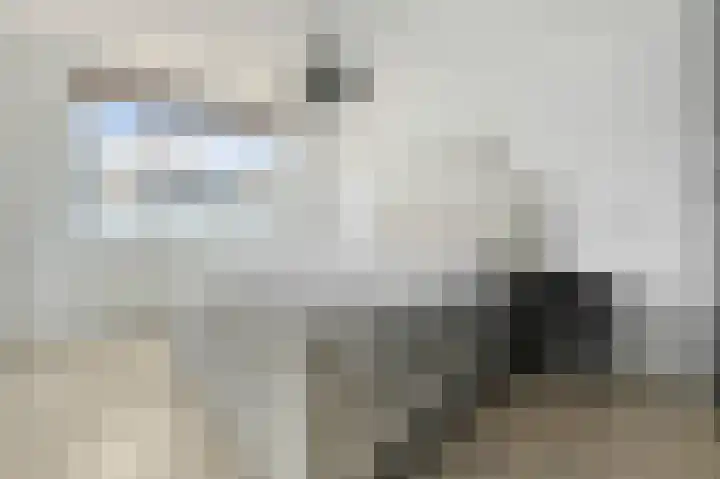 De Geldersman 10 Huizen thumbnail 18