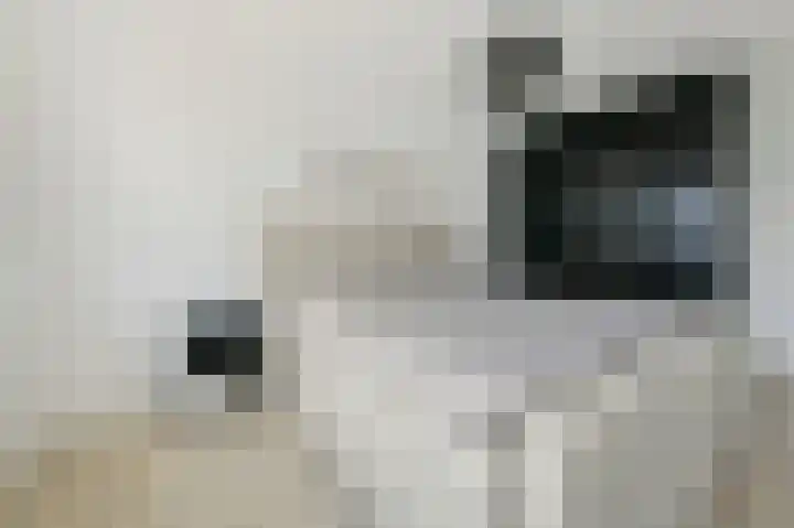 De Geldersman 10 Huizen thumbnail 19