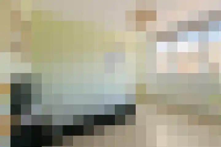 De Geldersman 10 Huizen thumbnail 20