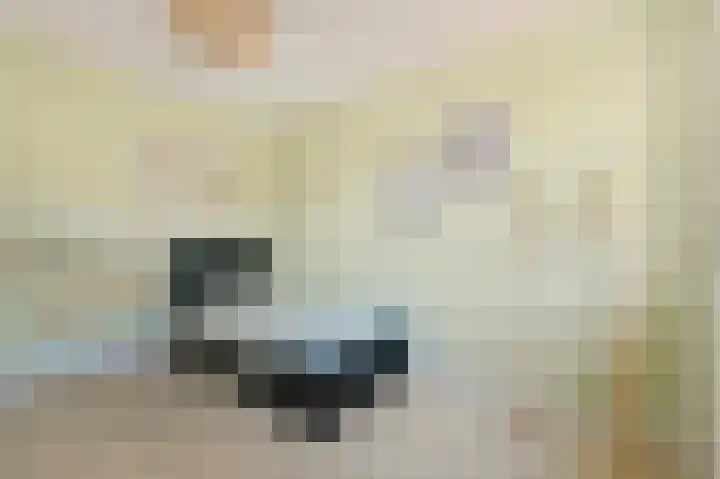 De Geldersman 10 Huizen thumbnail 21