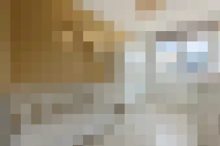 De Geldersman 10 Huizen thumbnail 22