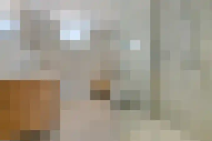 De Geldersman 10 Huizen thumbnail 23