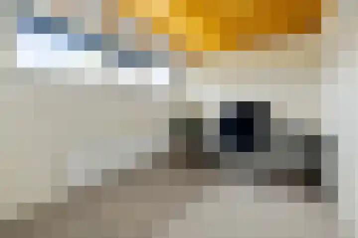 De Geldersman 10 Huizen thumbnail 25