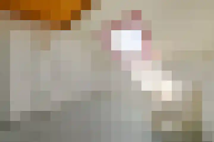 De Geldersman 10 Huizen thumbnail 26