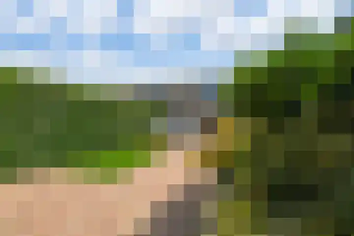 De Geldersman 10 Huizen thumbnail 30