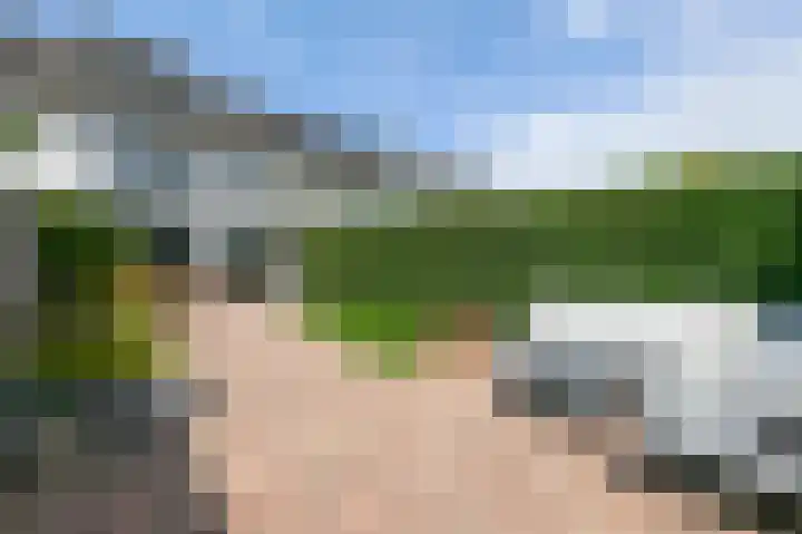 De Geldersman 10 Huizen thumbnail 31