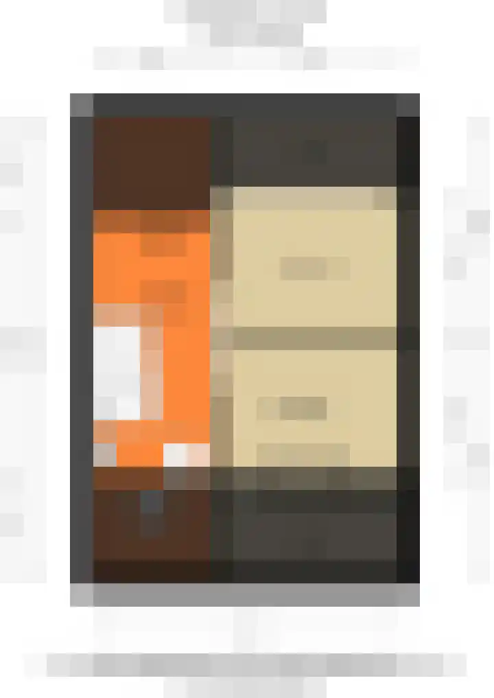 De Geldersman 10 Huizen thumbnail 37
