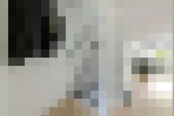De Geldersman 10 Huizen thumbnail 5