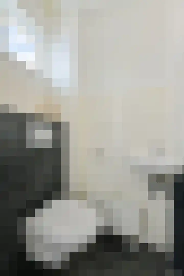 De Geldersman 10 Huizen thumbnail 6