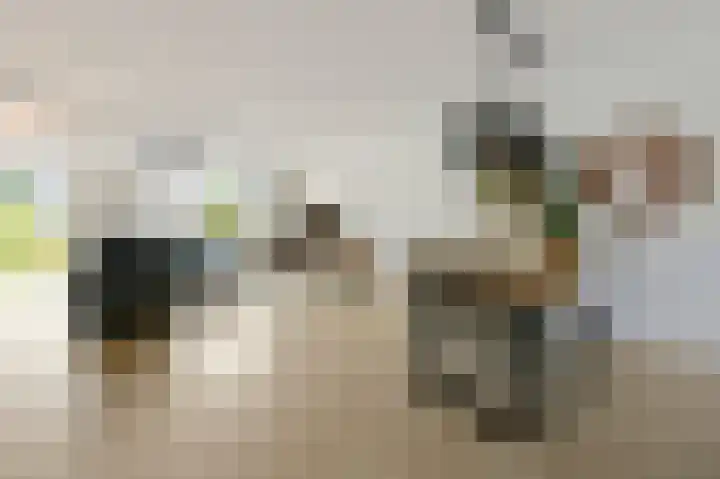 De Geldersman 10 Huizen thumbnail 7