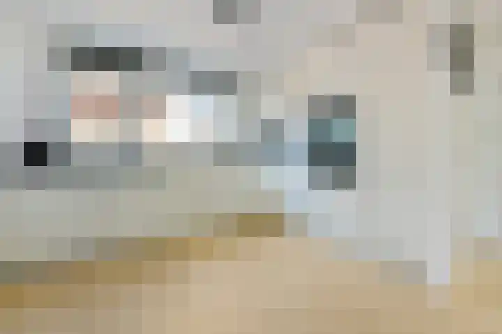 De Geldersman 10 Huizen thumbnail 8