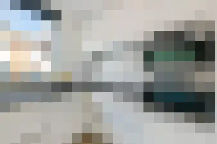 De Geldersman 10 Huizen thumbnail 9