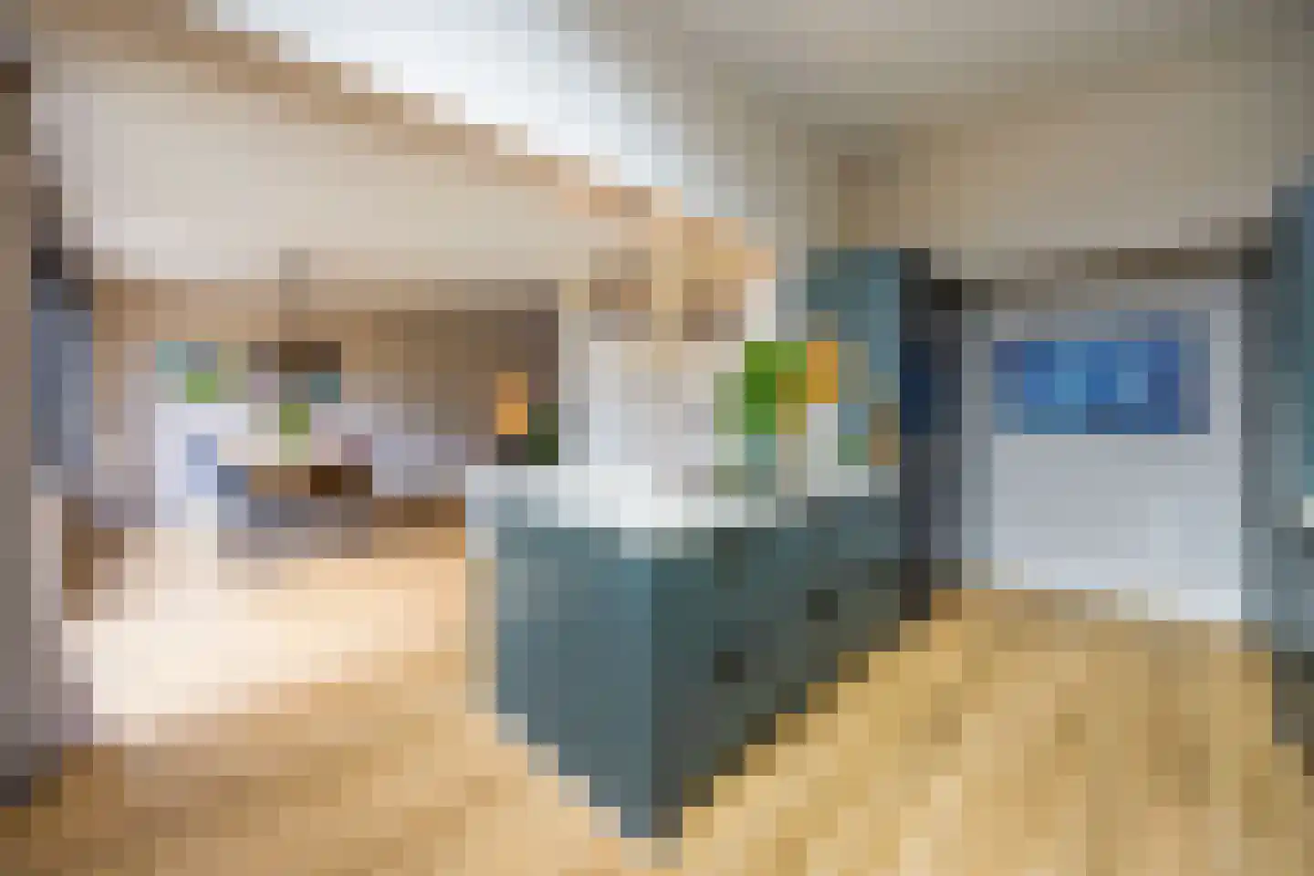 De Geldersman 18 Huizen thumbnail 10