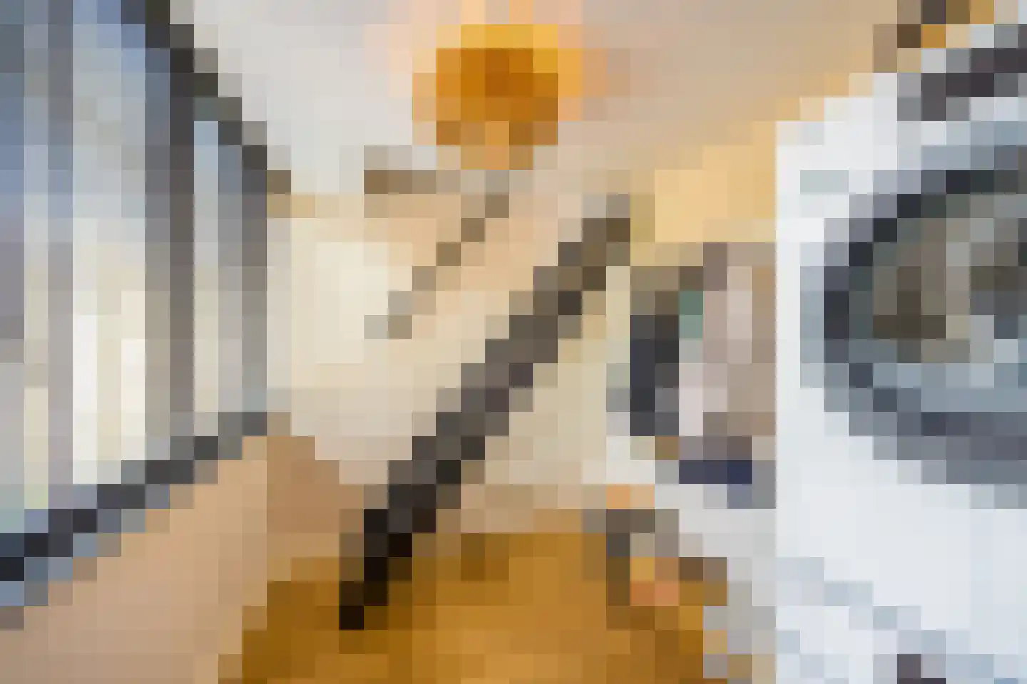 De Geldersman 18 Huizen thumbnail 11