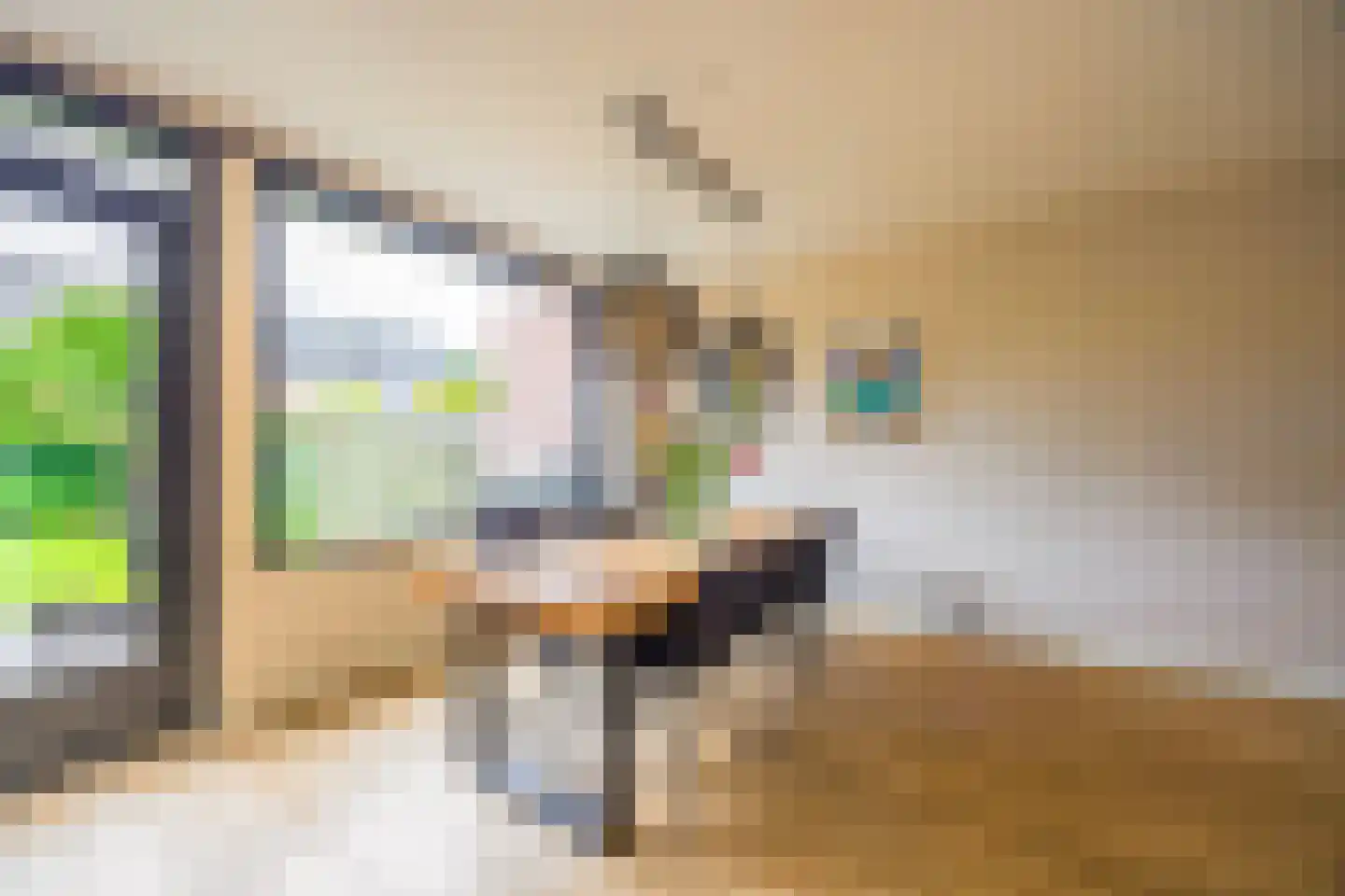 De Geldersman 18 Huizen thumbnail 13