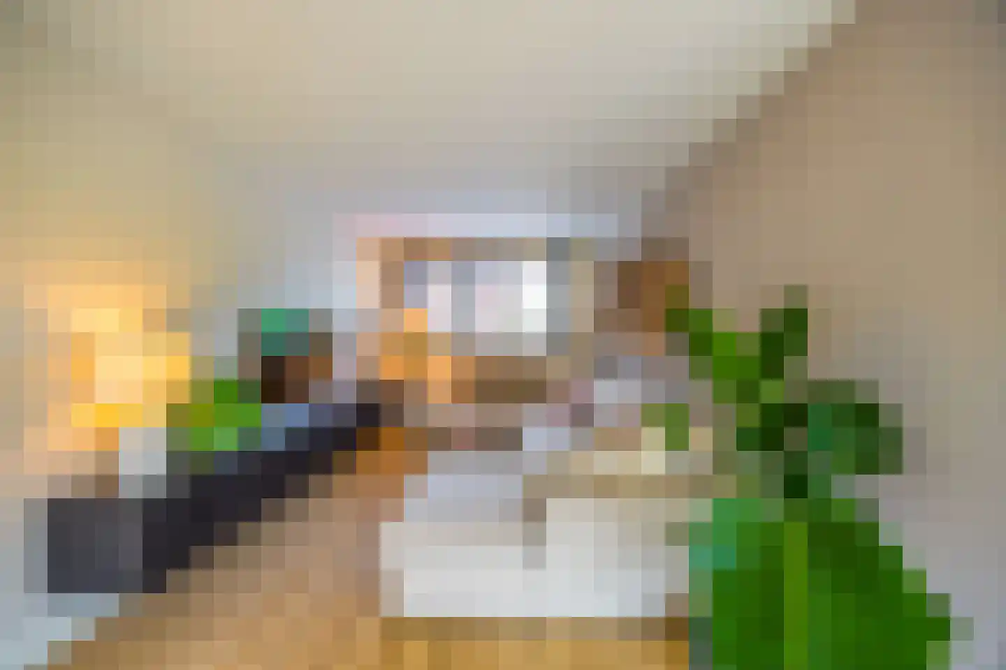 De Geldersman 18 Huizen thumbnail 16