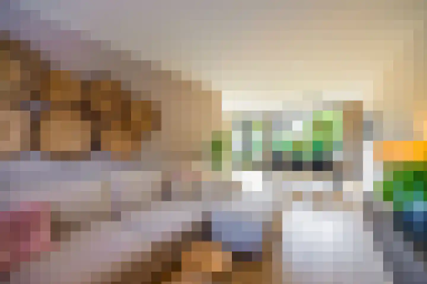 De Geldersman 18 Huizen thumbnail 18