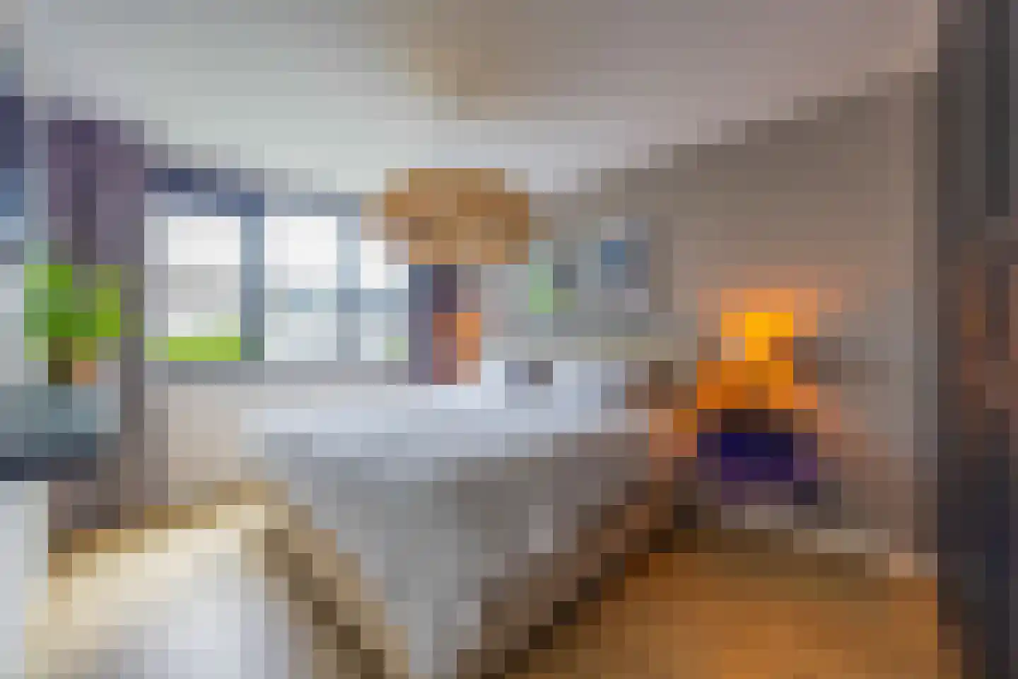 De Geldersman 18 Huizen thumbnail 22