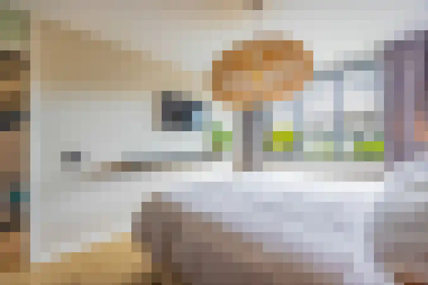 De Geldersman 18 Huizen thumbnail 23