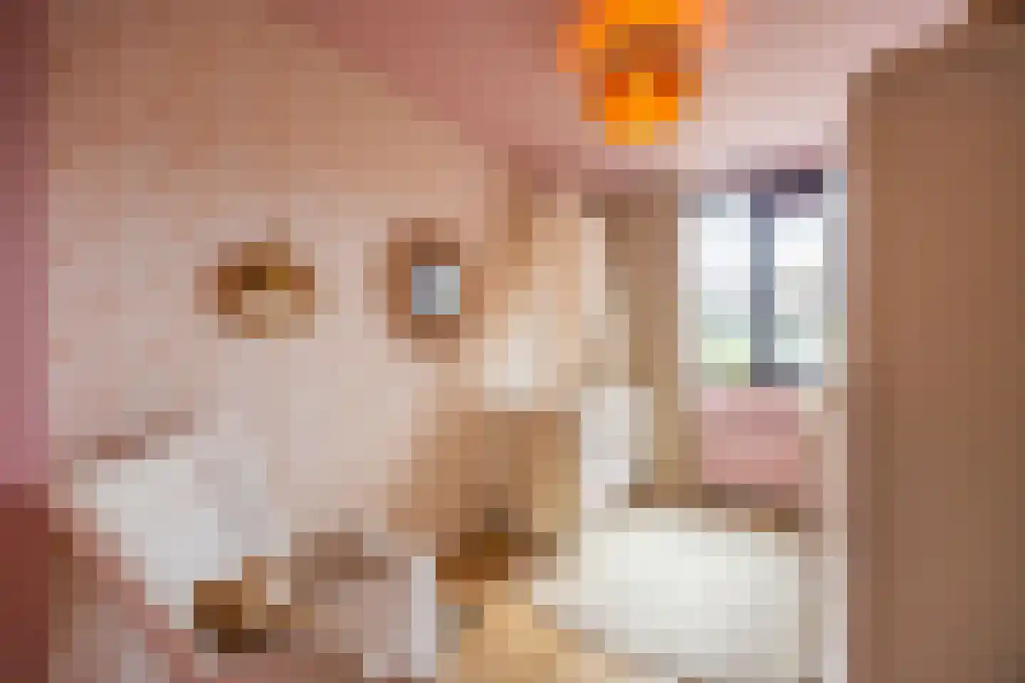 De Geldersman 18 Huizen thumbnail 25
