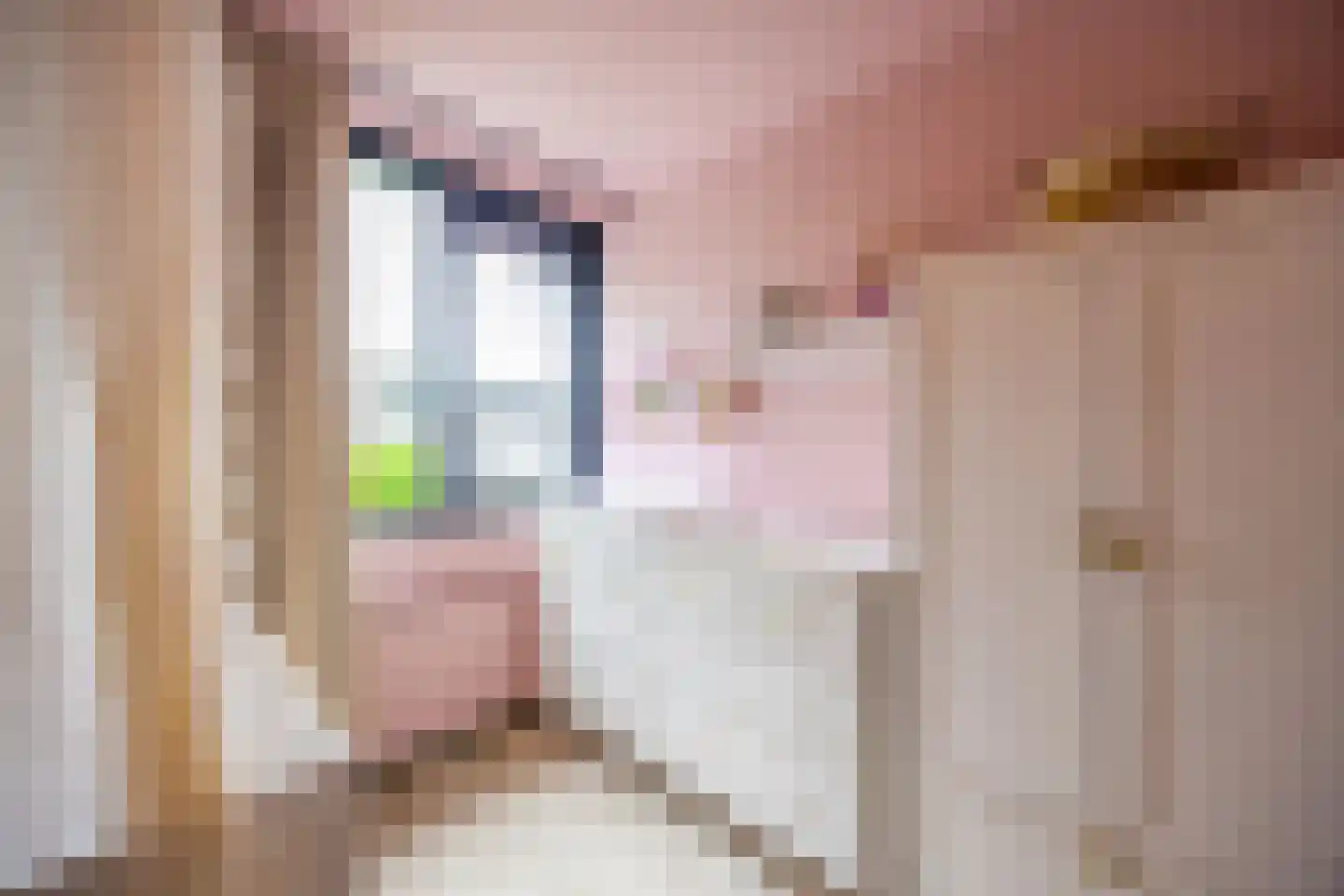 De Geldersman 18 Huizen thumbnail 27