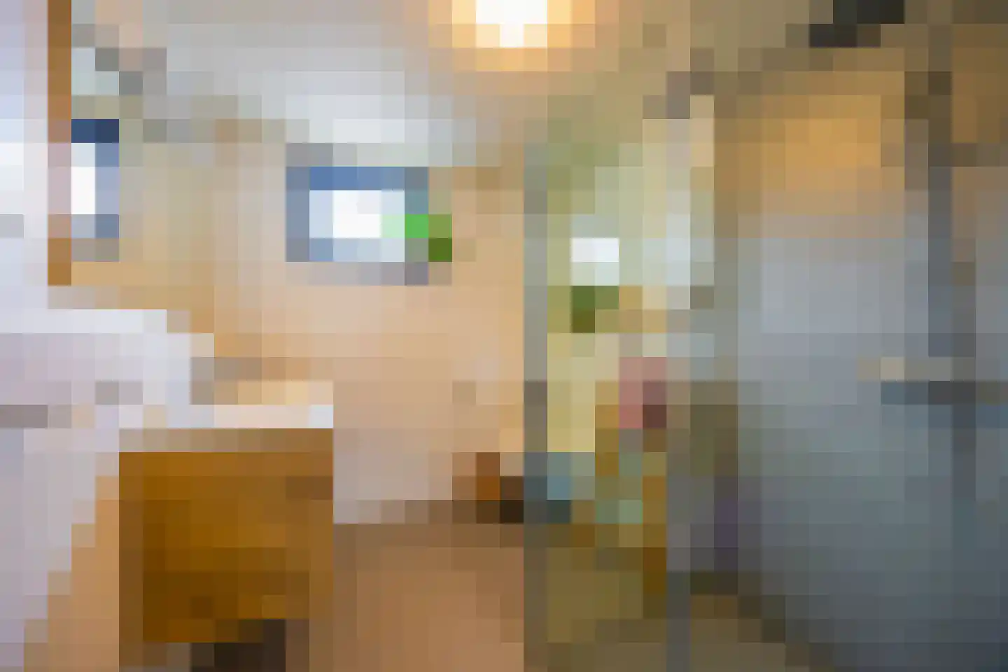 De Geldersman 18 Huizen thumbnail 35