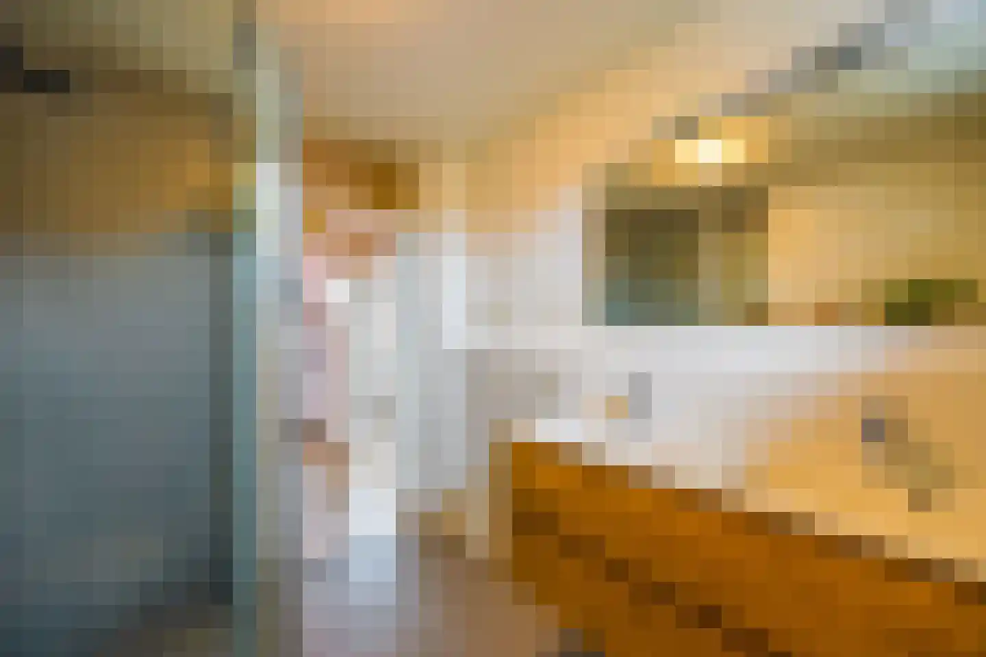 De Geldersman 18 Huizen thumbnail 36