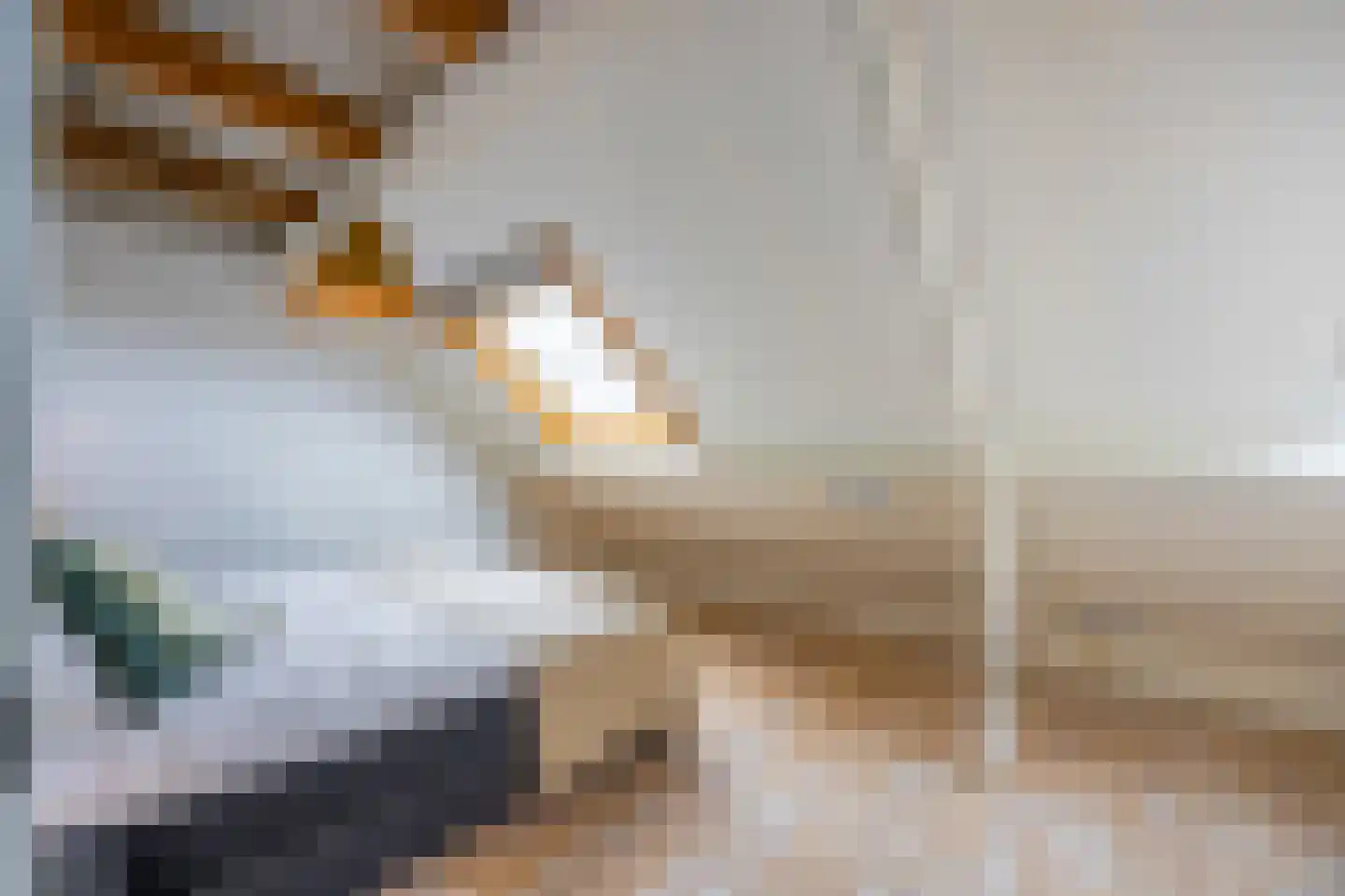 De Geldersman 18 Huizen thumbnail 41