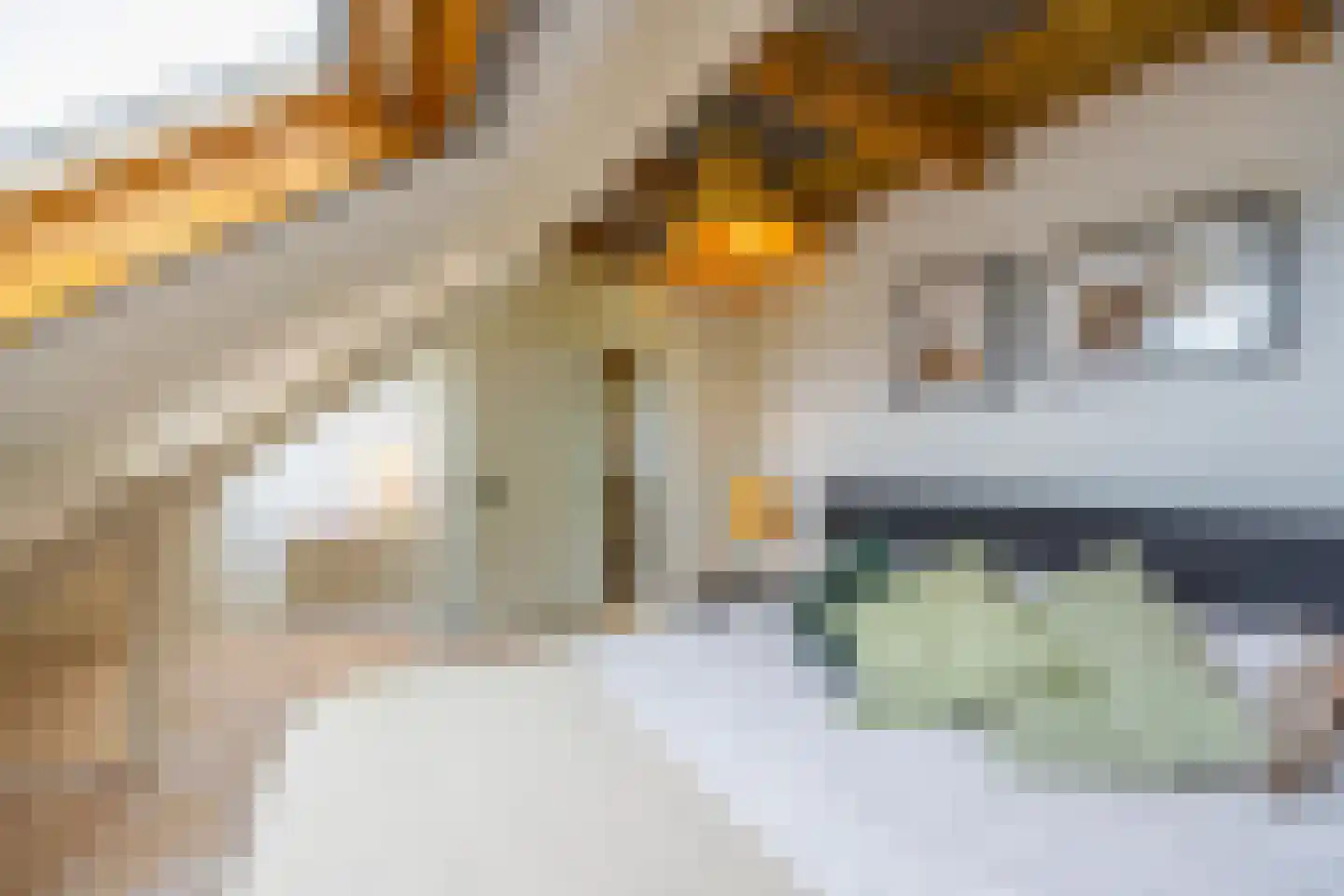 De Geldersman 18 Huizen thumbnail 43