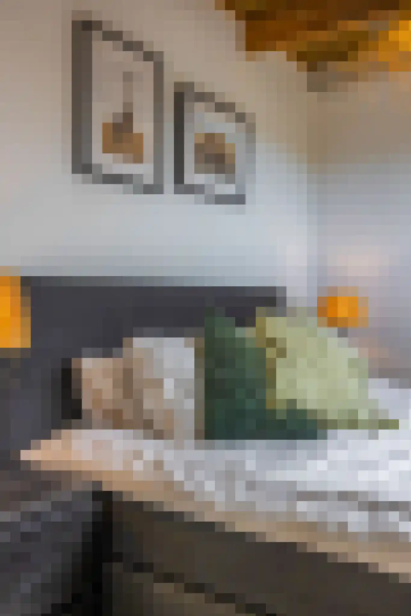 De Geldersman 18 Huizen thumbnail 44