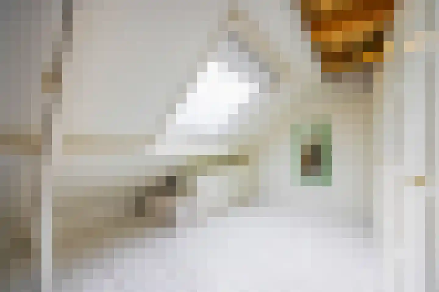 De Geldersman 18 Huizen thumbnail 45