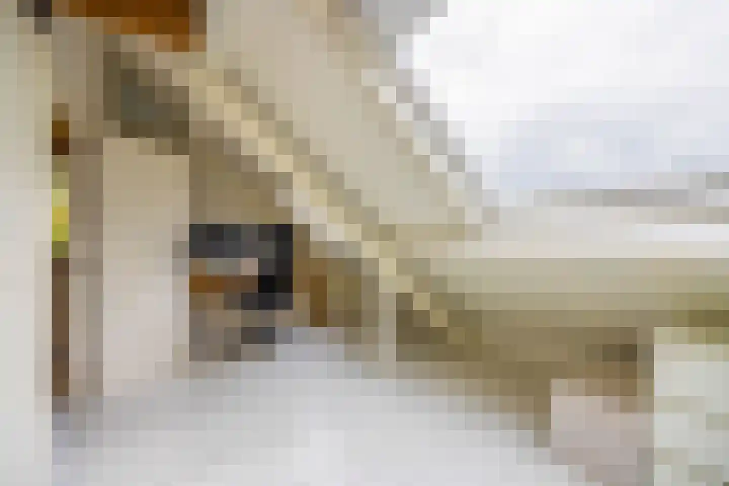 De Geldersman 18 Huizen thumbnail 46
