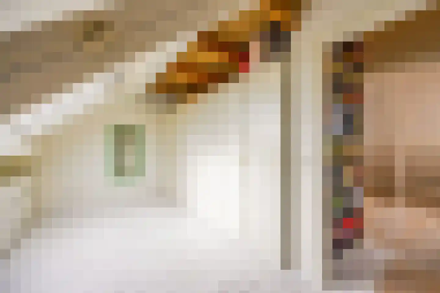 De Geldersman 18 Huizen thumbnail 47