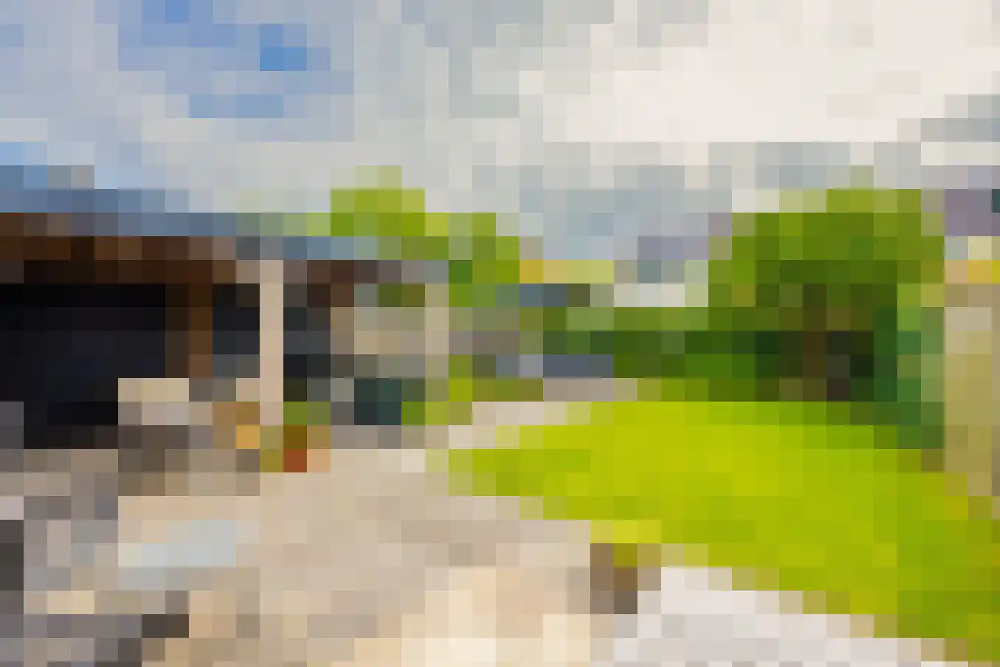 De Geldersman 18 Huizen thumbnail 49