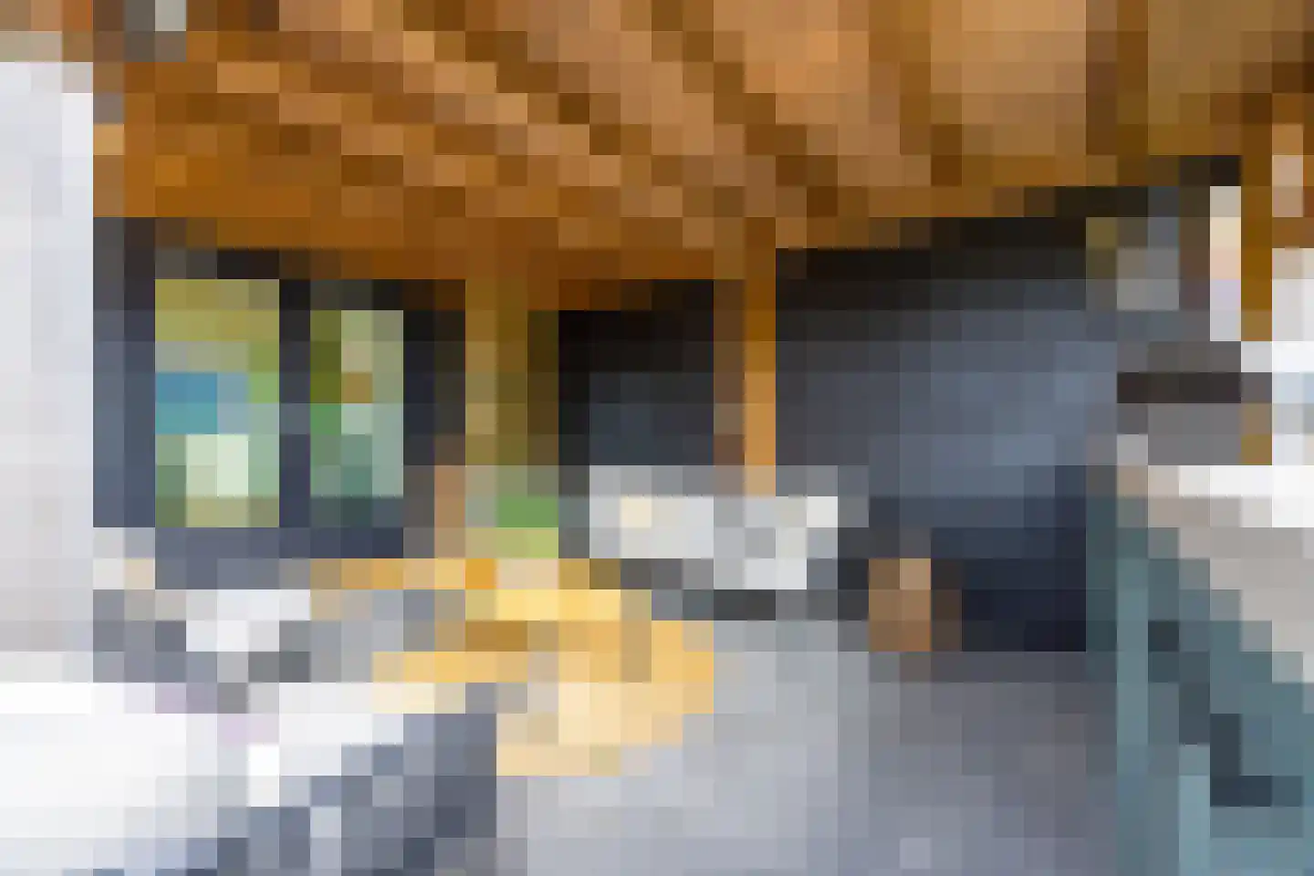 De Geldersman 18 Huizen thumbnail 50