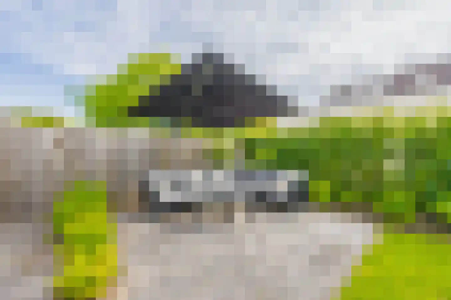De Geldersman 18 Huizen thumbnail 53
